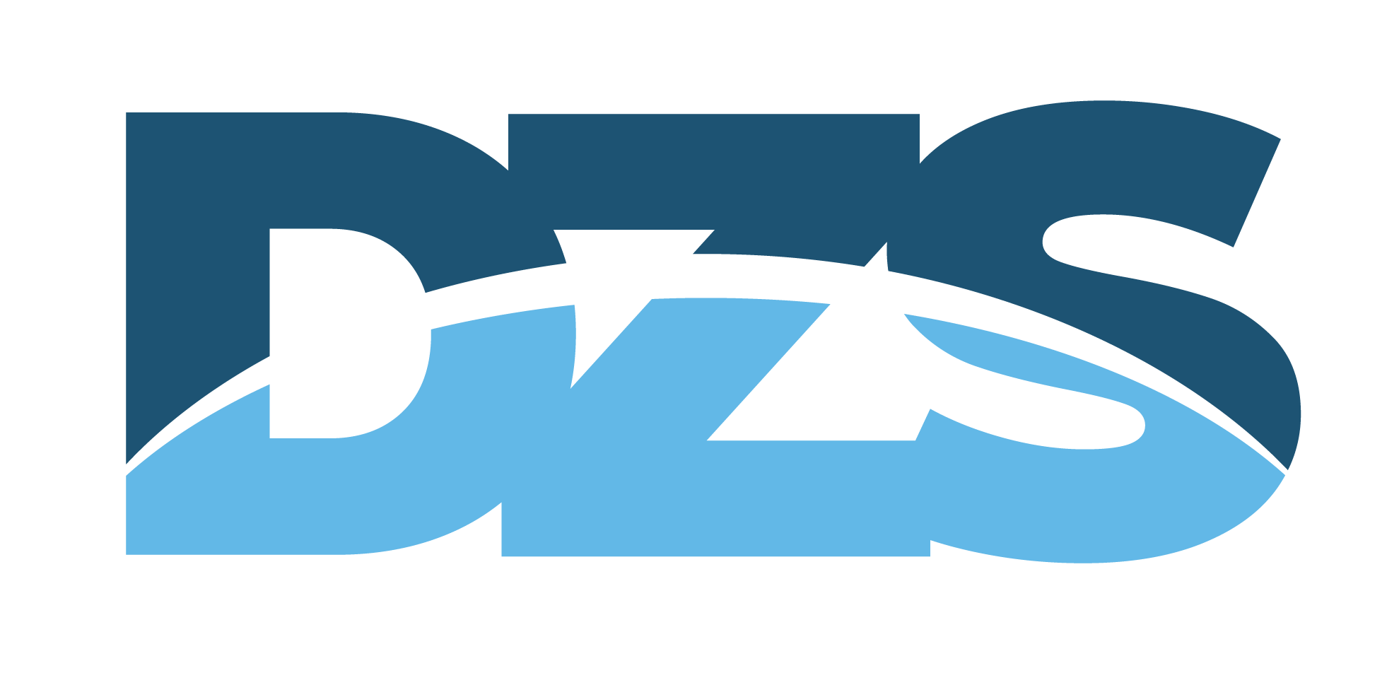 logo DZS 